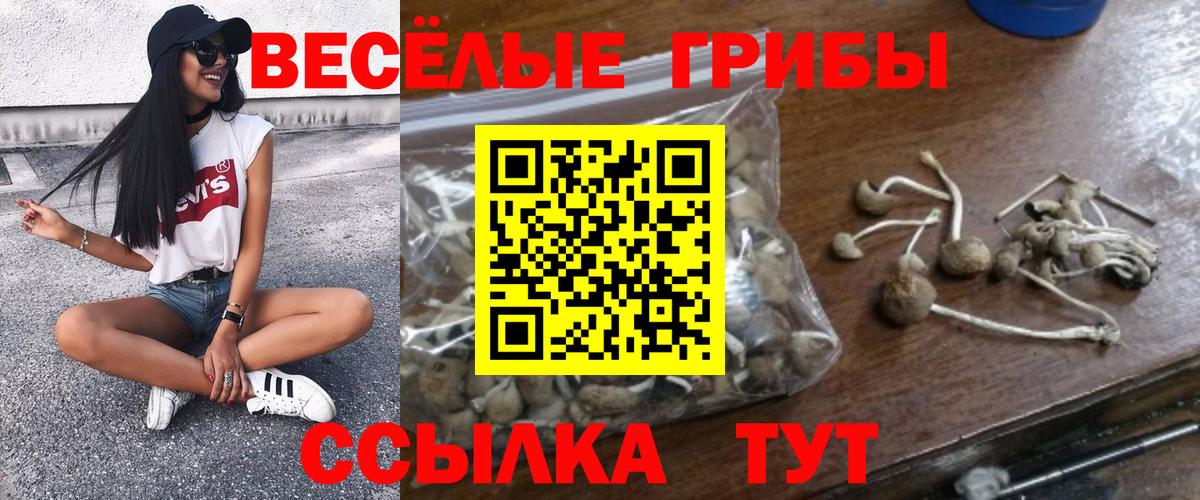 Галлюциногенные грибы GOLDEN TEACHER  Вход с VPN  хочу наркоту  Отрадный 